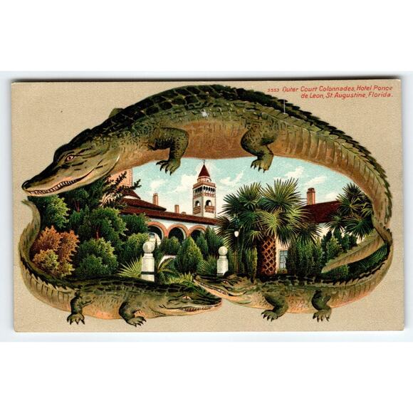 Alligator Border Postcard St Augustine Florida Outer Court Colonnades Hotel